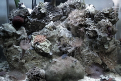 Killikus&reg; Fotographie